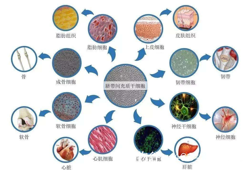 济南中医肝病互联网病院：名医正在线为患者供应精准诊断和医治提议(图1)