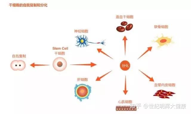 医疗大数据 - 医疗大数据管理计划利用 - OFweek医疗科技网(图1)