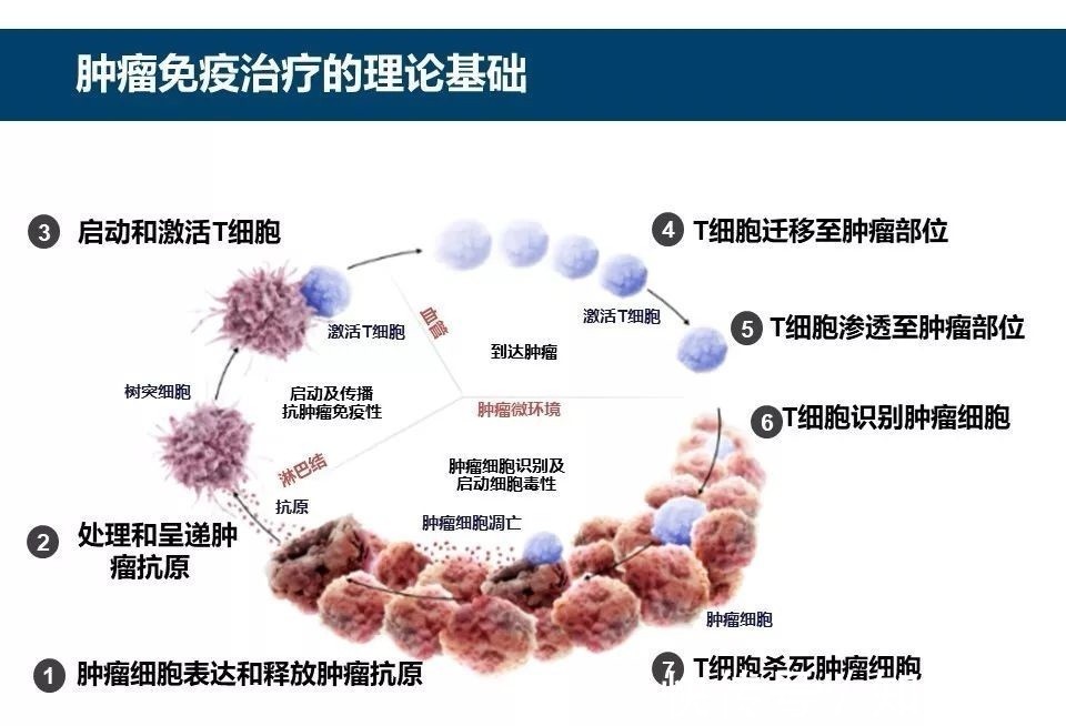 完竣防治体例 晋升消化道肿瘤诊疗程度(图1)