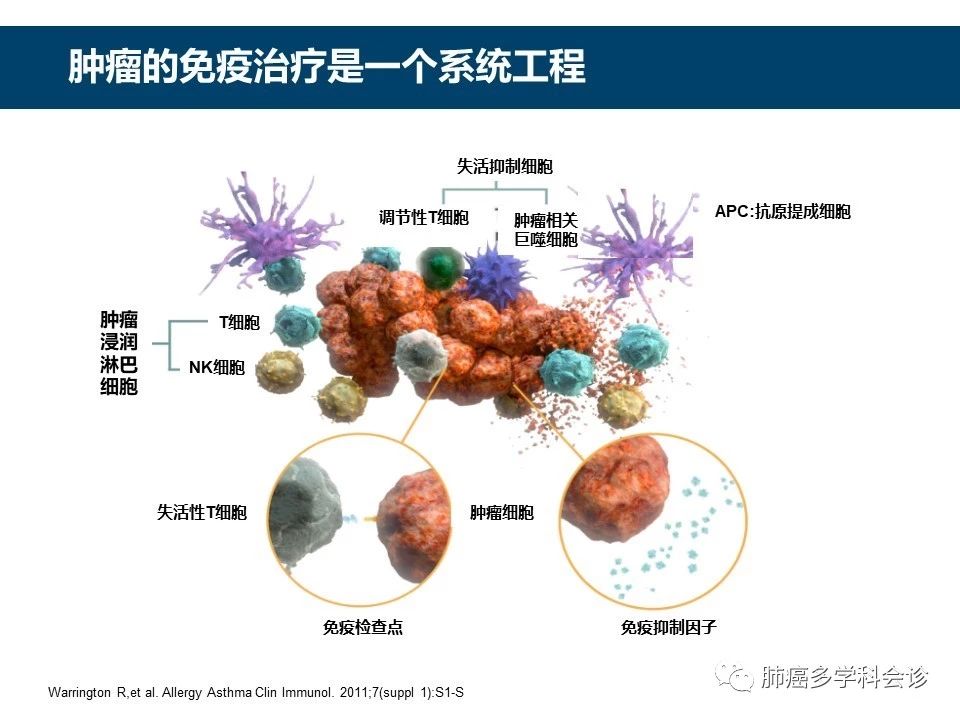 Nature子刊连发2篇！离子凝胶发力肿瘤疗养(图1)