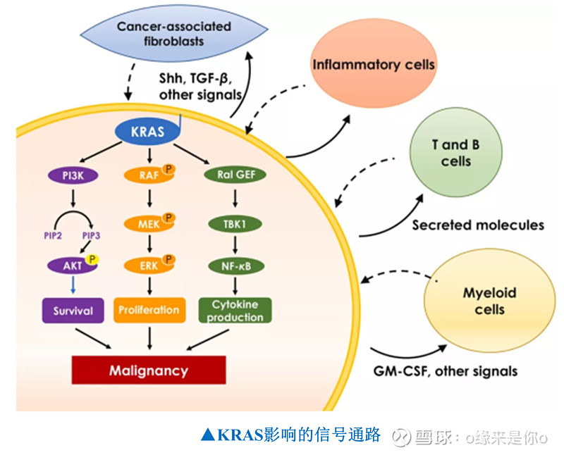 誉衡药业：骨科用药有特性 营销上风促增加(图1)