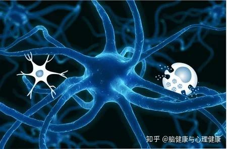 星空体育app下载官网我院阚海东课题组结合研讨揭示天气变暖将加剧我邦神经退行性疾病衰亡承担(图1)