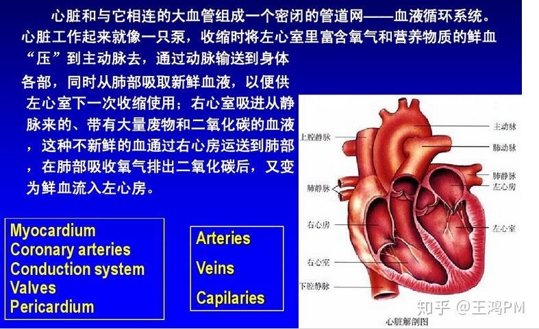 【数图说】2018年「血液和制血体系」用药邦内逐鹿状况剖析(图1)