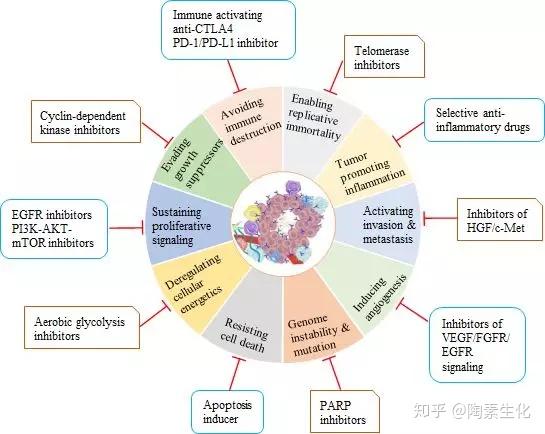 静心抗肿瘤改进药物研发 海和药物重启IPO星空体育app(图1)