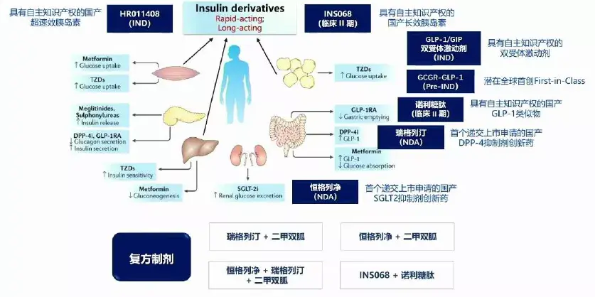 统筹降糖、减重礼来制药携明星降糖药加快抢滩中邦市集(图1)