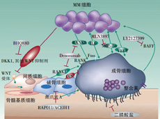 星空体育官网宇宙政协委员周清：筑言肿瘤调整“不出县城”(图1)