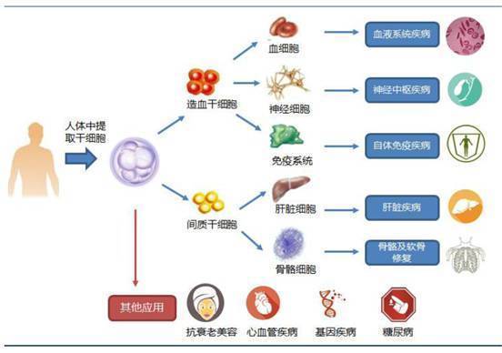 糖尿病患者不行承袭之「痛」：若何冲破调理僵局？(图1)