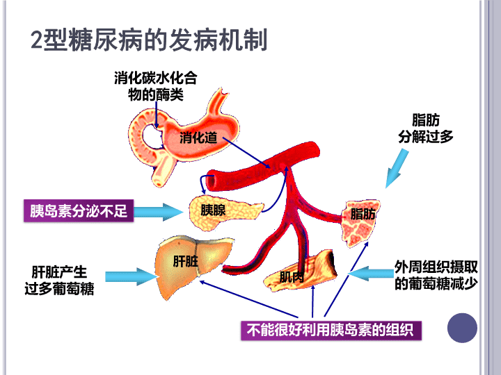 《细胞·代谢》：一次给药控糖7周！中邦科学家开荒新型2型糖尿病调节计谋单次侧脑室打针FGF4可正在小鼠体内竣工7周的控糖成果(图1)