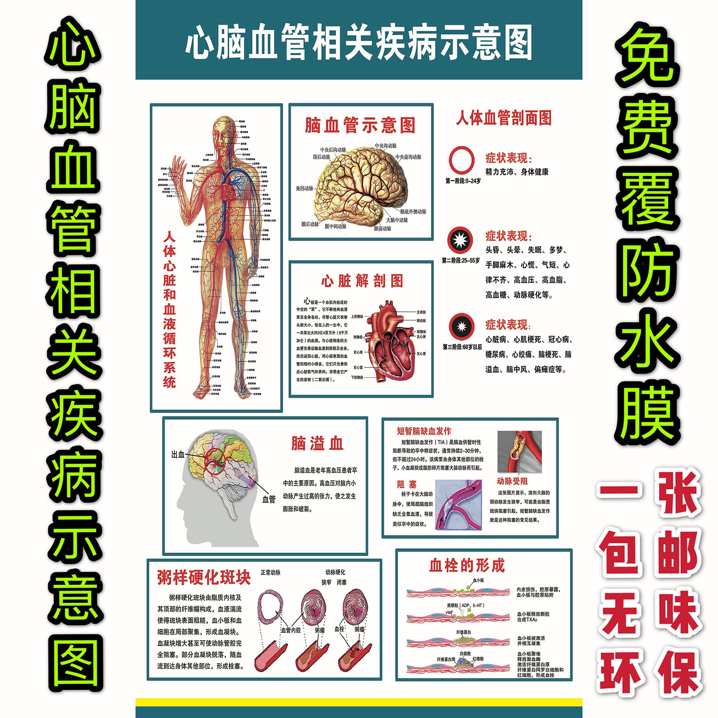 嗜酸性粒细胞干系性呼吸疾病及共病诊疗才略晋升项目启动(图1)