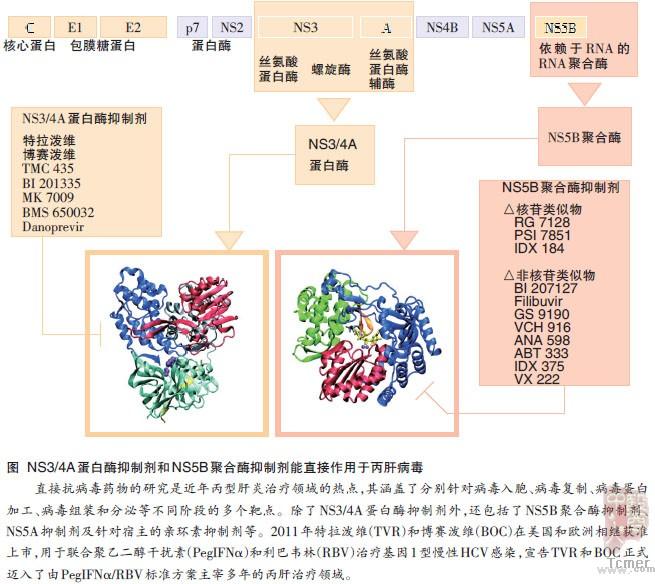 映美医星空综合app疗 养成每天洗鼻好民俗让呼吸强健更方便(图1)