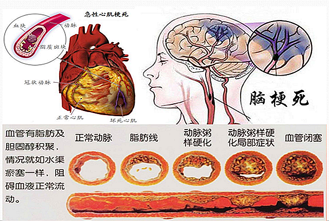 星空体育app下载一线乙肝抗病毒药物先容(图1)