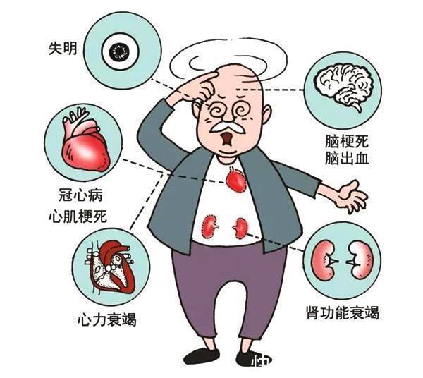 心脑血管疾病用药有哪些(图1)