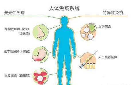 呼吸体系药物的新品拓荒(图1)