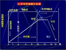 1类新药-标签列外-米内网(图1)