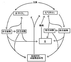 妈妈的百岁人生星空体育网站入口官网手机版(图1)