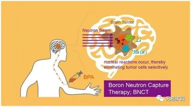 肿瘤医治新冲破（壮健新观点）(图1)