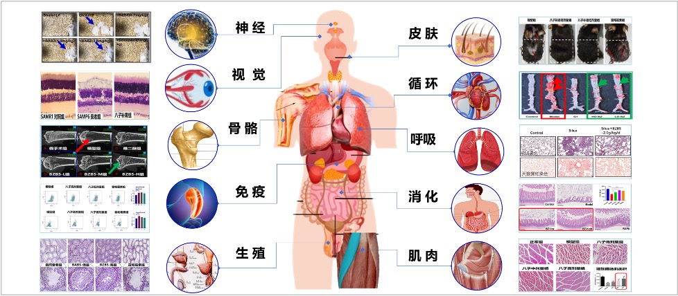 星空体育网站入口官网手机版很倏地！杭州不少家长思量的“长高神药”要暂停供应了(图1)