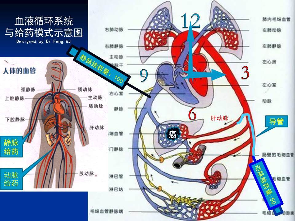 别吃红枣了90%肿瘤患者更必要这5个补血方(图1)