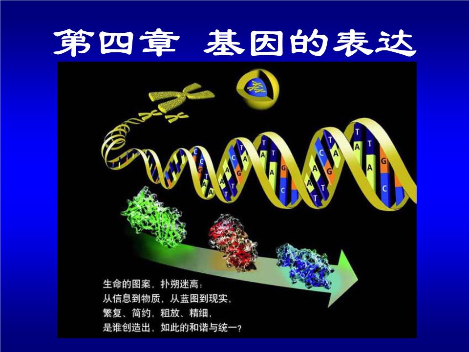 星空体育app下载派林生物(000403SZ)：子公司取得静注人免疫球卵白(10%)的临床试验接受闭照书(图1)