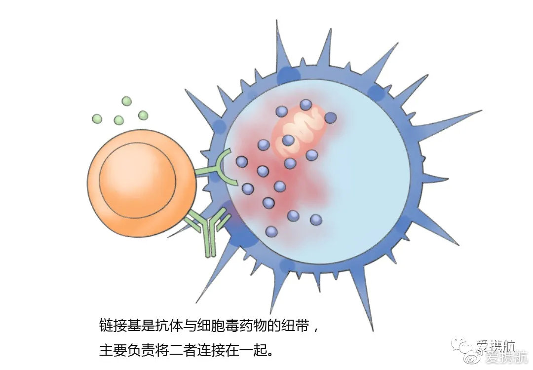 2023抗体药物行业墟市近况深度了解(图1)