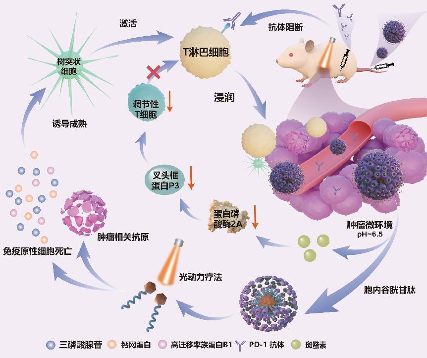 最长不突出12周慢病患者“所长方”将迎来专属办理类型星空体育app官方下载(图1)