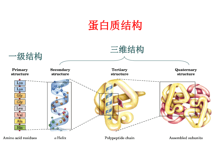 保肝护肝最好的药（肝药）(图1)