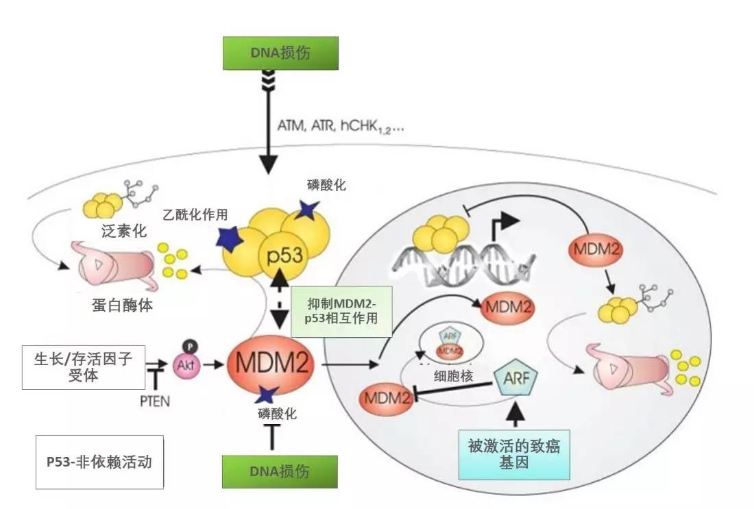 星空体育网页版登录入口医药上市企业迎策略盈利 招行赋能近百家企业财资统治升级(图1)